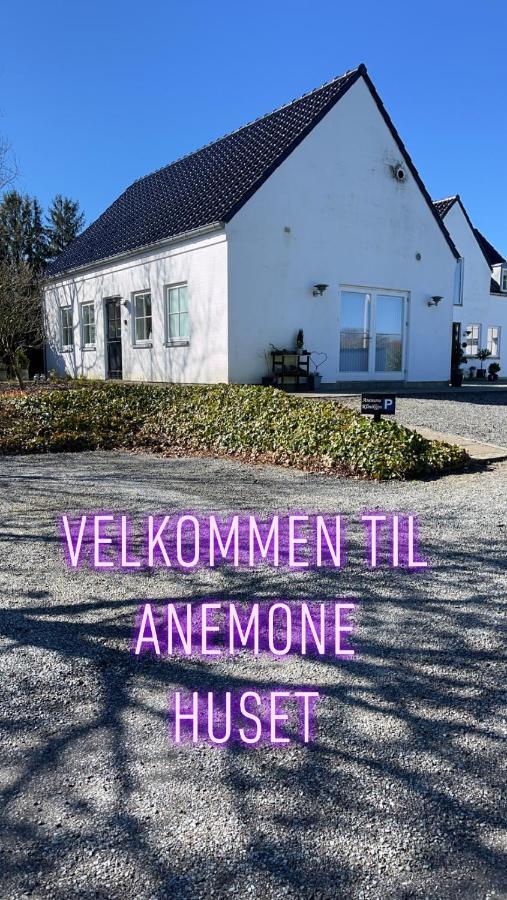 Anemone Huset Διαμέρισμα Vorbasse Εξωτερικό φωτογραφία